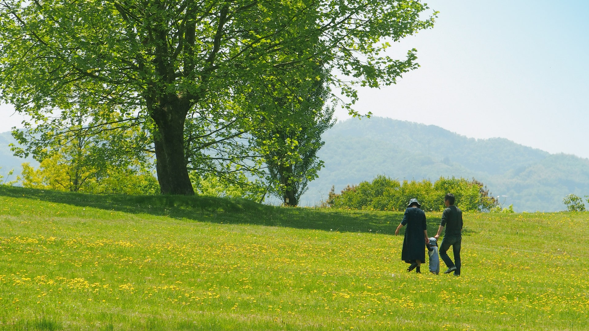55JOB会社案内トップ写真