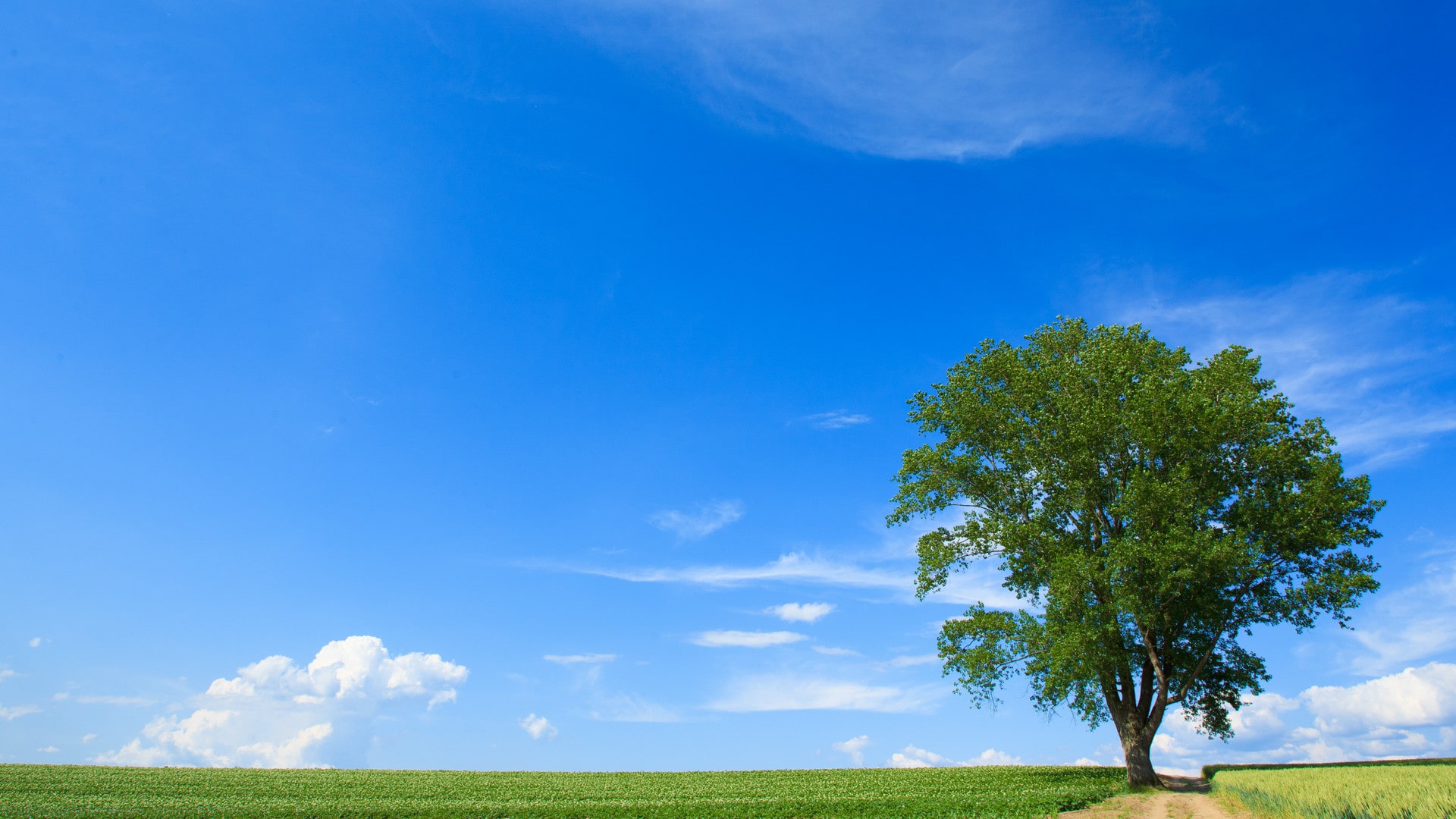 55JOB会社情報写真