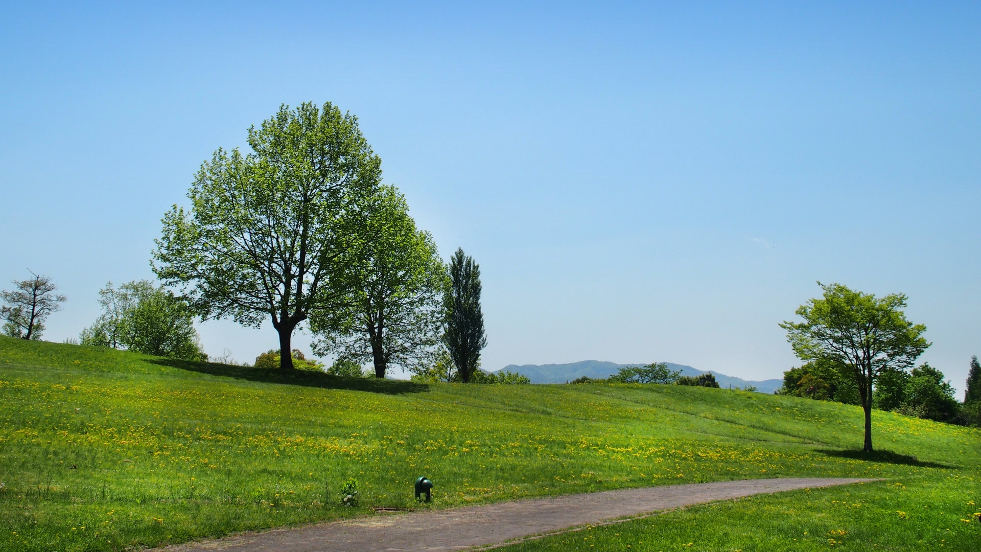 55JOB個人情報保護方針写真