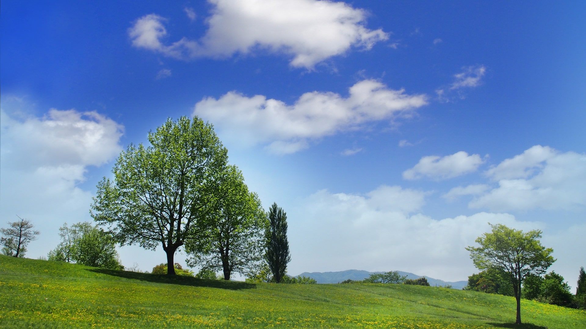 55JOB人材紹介について写真