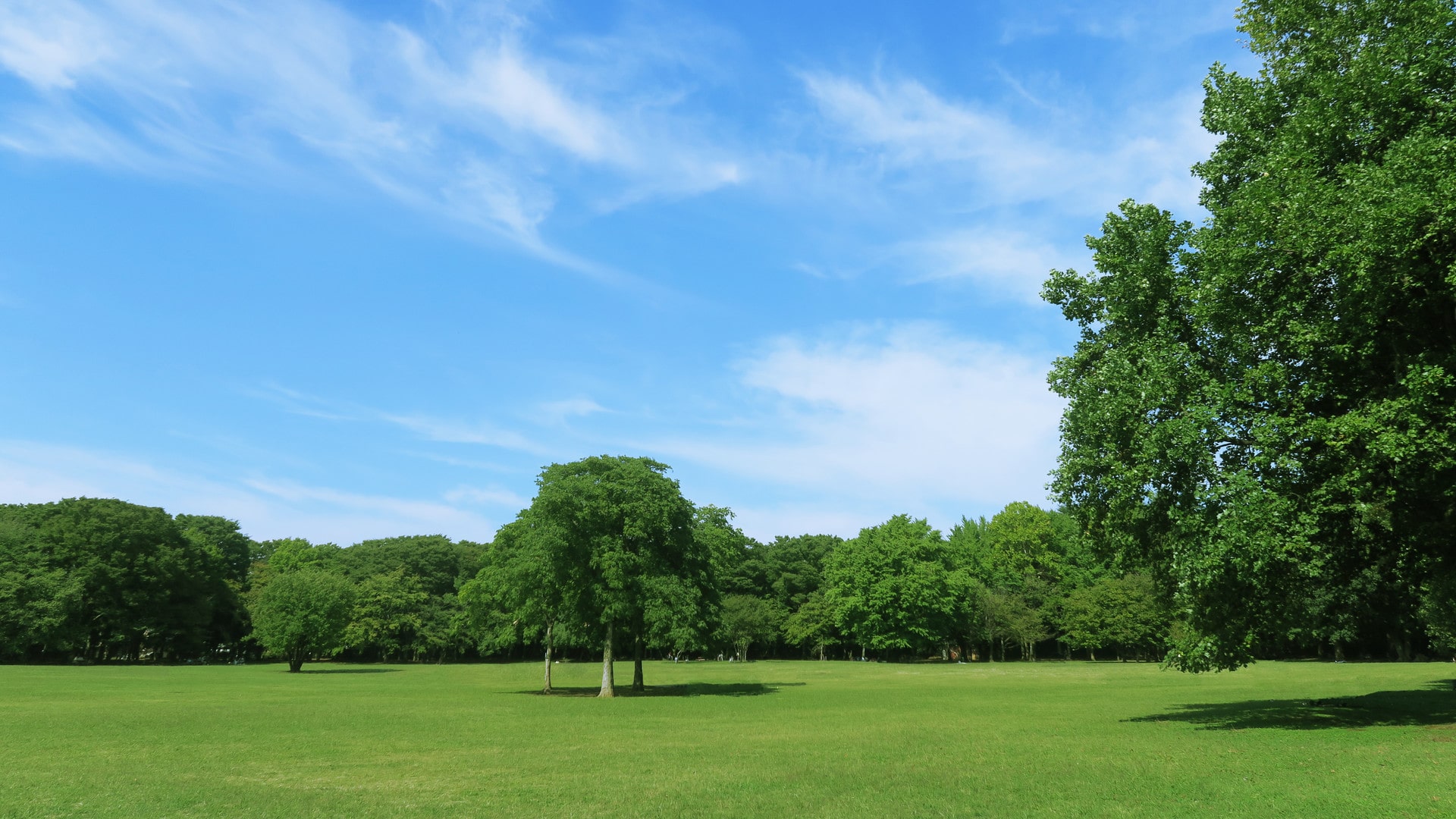 55JOB請負について写真