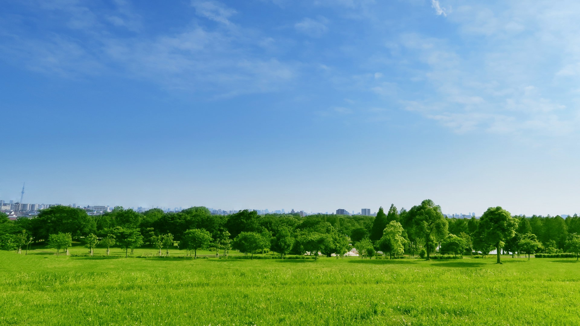 55JOB登録からお仕事までの流れ写真